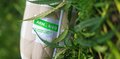 Матрас Sativa XL